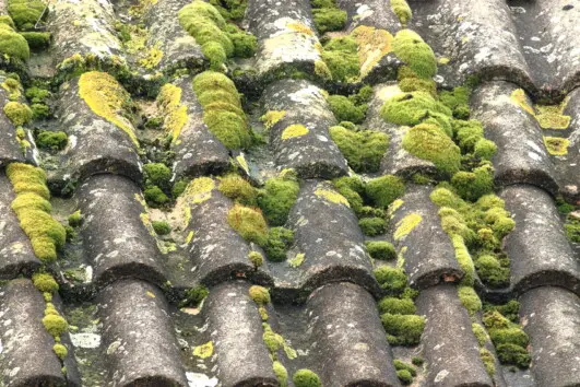 Balayage et démoussage de toiture Royan 17